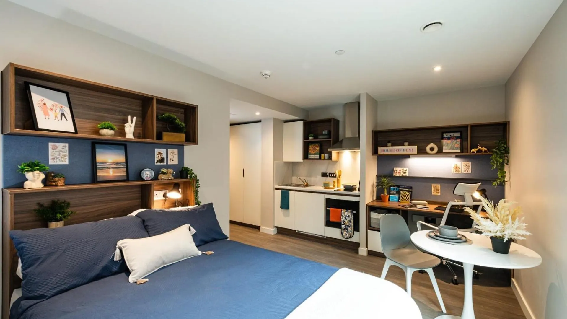 For Student Only Nelson Place In Belfast United Kingdom