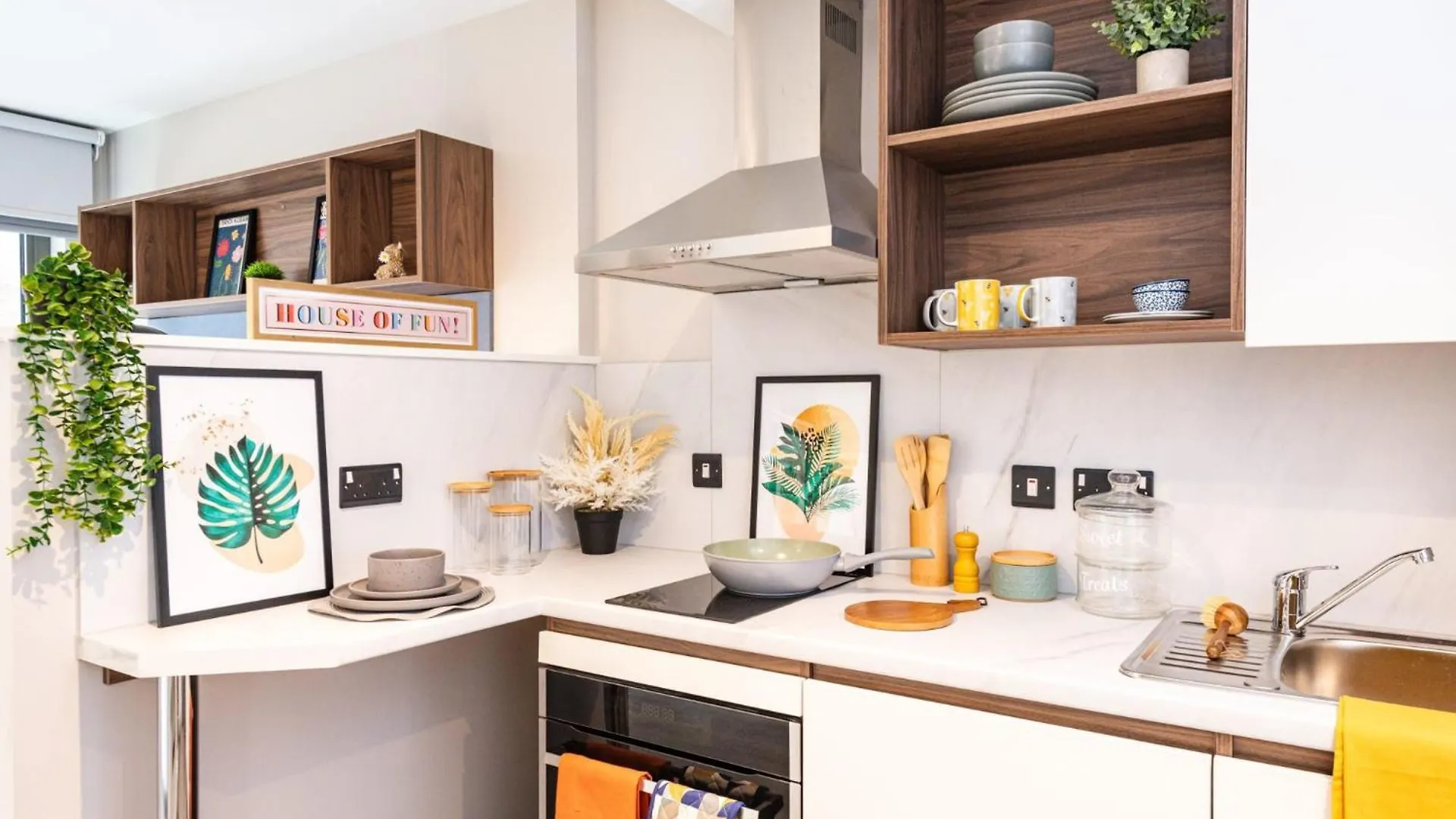 For Student Only Nelson Place In Belfast Apartment